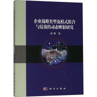 企业战略类型及模式组合与绩效的动态映射研究