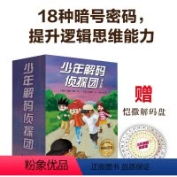 少年解码侦探团(全6册) [正版]少年解码侦探团全6册 神秘的灯塔 博物馆的窃贼 失踪的间谍 怪老头的秘密 神奇机关盒