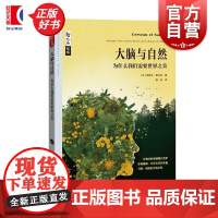 大脑与自然:为什么我们需要世界之美 哲人石丛书 米歇尔黎文权著上海科技教育出版社科普读物