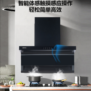 AIER爱尔油烟机CXW-330-J233R