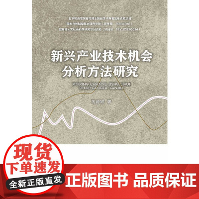 新兴产业技术机会分析方法研究