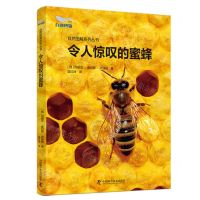 [N]令人惊叹的蜜蜂(精)/自然图解系列丛书-9787523603871