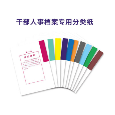 中锐智采 分类纸/隔页纸/十类/A4/每包10本/包