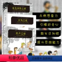 ”之谜“系列绘本全套 [正版]之谜系列绘本3册鼾声之谜石龟之谜蓝色球鞋之谜 安德烈·布沙尔著少儿童书6-9岁科普知识读物