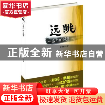 正版 远眺:一盏灯的风景 佟昕桐著 新华出版社 9787501198719 书