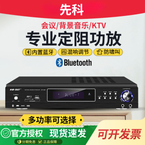 先科(SAST)DT-1000 家用定阻KTV功放机蓝牙专业大功率家庭影院会议音响功放 定阻功放650W(峰值)