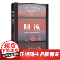 暗流:无意识动机如何支配我们的生活 北贝 文献 [美]迈克尔·卡恩/著 李逸竹/译 心理学 心理咨询师 广西师范大学出版