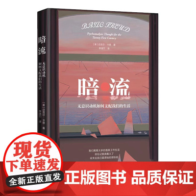 暗流:无意识动机如何支配我们的生活 北贝 文献 [美]迈克尔·卡恩/著 李逸竹/译 心理学 心理咨询师 广西师范大学出版