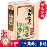 [醉染正版]正版 精装图解 汤头歌诀白话解 经典 必 基础学 读 养生偏方中药学补肾调理 方剂学速记中医养生书籍大全 自