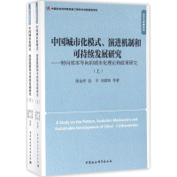 音像中国城市化模式、演进机制和可持续发展研究张自然 等 著