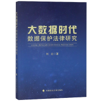 音像大数据时代数据保护法律研究刘红