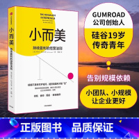 [正版]小而美:持续盈利的经营法则 做好小团队管理 维持企业持续经营 硅谷青年创业总结回顾 管理类书籍企业经营 出版