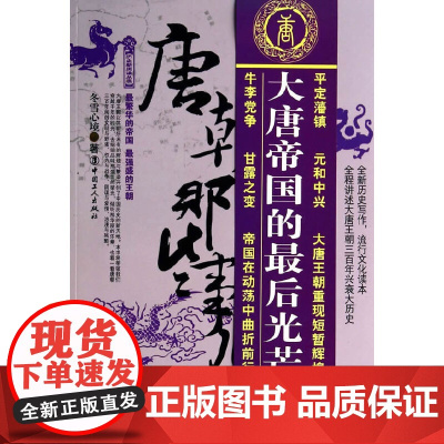 唐朝那些事儿 陆 帝国落日卷 冬雪心境 工人出版社 正版书籍