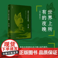 正版书籍 世界上所有的夜晚 迟子建著 茅盾文学奖鲁迅文学奖得主小说代表作 茅盾文学奖得主作品小说集 作家出版社书