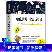 [正版]中英双语新版本 哈克贝利费恩历险记 英汉对照 英文版中文版译本原版 学生课外双语阅读 英语大书虫世界名译典藏