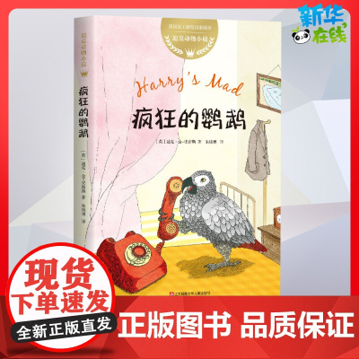 迪克动物小说:疯狂的鹦鹉绘本故事三四年级儿童故事书小学生课外阅读书籍暑假阅读图书童话故事儿童书籍