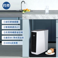 YORK约克 600G 家用净水机RO反渗透水器过滤器净水器厨下式 RO滤芯 YK-RO-600(B)