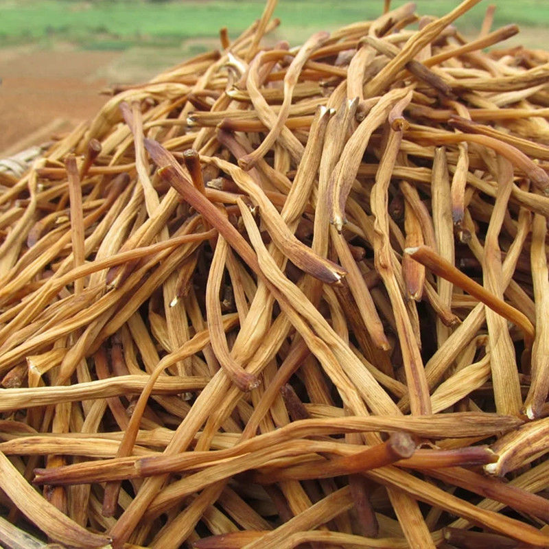 赛卡伊 [优质特推]祁东黄花菜干货散装自然晾干农家金针菜