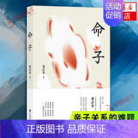 [正版]命子 董启章 当代香港作家董启章记录儿女成长 父子父女亲子关系的难题 父亲对子女日常相处的感受 当代文学小说书籍