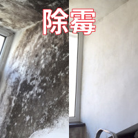2瓶AR白色墙体除霉剂墙面家具发霉墙壁防霉除霉去霉斑菌清除剂