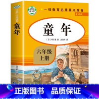 [六年级上-全译本]童年 [正版]童年 高尔基原着人民教育出版社六年级上册必读课外书人教版高尔基的童年书语文配套