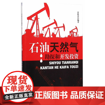 石油天然气勘探和开发投资