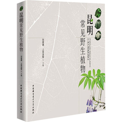 正版新书]昆明常见野生植物刘恩德,上官法智主编9787312048661