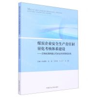 [N]煤炭企业安全生产责任制量化考核体系建设--河南能源新疆公司安全绩效管理实践-9787564654863
