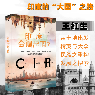 正版新书]印度会崛起吗?王红生9787301338766