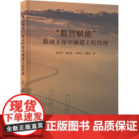 正版 数智赋能 驱动下深中通道工程管理 南京大学出版社 陈伟乐 等 著 交通/运输