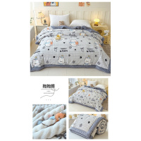 秋冬季加绒兔毛豆豆牛奶绒毛毯被子单人学生珊瑚绒加厚盖毯冬被芯