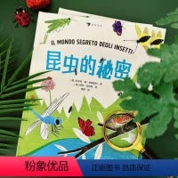 昆虫的秘密 [正版]浪花朵朵 昆虫的秘密 7岁+ 自然观察昆虫分类身体构造 动物科普百科