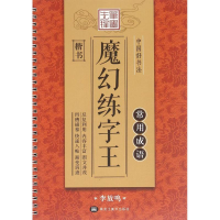 音像中国好书法魔法练字王李放鸣 书