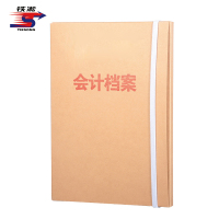 铁凇 会计档案盒 10mm A4 个