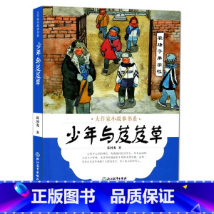 [正版]大作家小故事书系:少年与芨芨草 7-10-12岁儿童文学校园成长励志暖心小说故事书 二三四五年级中小学生课外阅