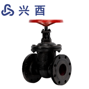 兴酉 铸铁暗杆闸阀Z45T-16 DN200 个