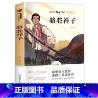 骆驼祥子 [正版]骆驼祥子原著 老舍 小学生 五年级六七年级课外阅读书籍必读老师 书目 大奖儿童文学 小说书 3-4