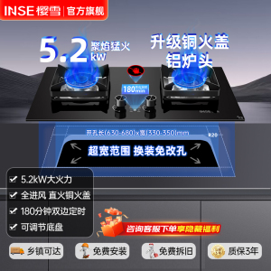 樱雪(INSE)燃气灶 家用大火力 天然气 灶双灶台嵌两用 5.2KW猛火双灶 JZT-Q2436(B)天然气