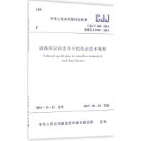 道路深层病害非开挖处治技术规程