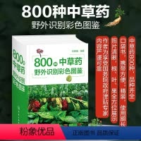 [正版] 800种中草药野外识别彩色图鉴 中草药识别特征分布生境药用功效 中草药识别书籍中草药鉴定书籍 中草药彩色图鉴