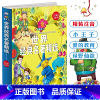 [正版] 世界经典名著 拼音精装版 4-6-8岁儿童文学书籍 一二年级小学生课外读物 注音版 小王子爱的教育绿野仙踪世