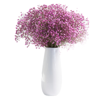 干花束满天星勿忘我鲜花真花干花装饰摄影道具花朵台面花瓶-紫色满天星（不含花瓶）