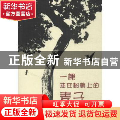 正版 一颗挂在树梢上的麦子 谭现锁著 中国财富出版社 9787504756