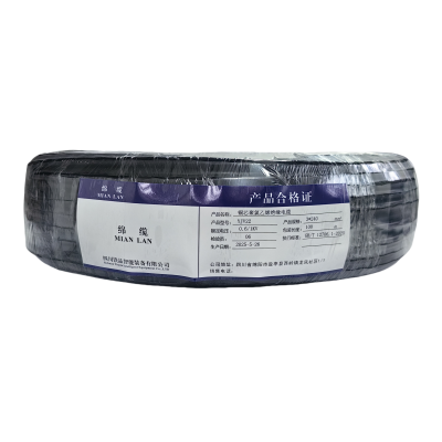 绵缆 铜芯聚氯乙烯绝缘电缆 YJV22-0.6/1kV-3*240 米