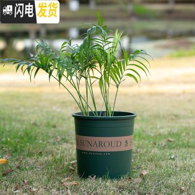 三维工匠塑料树脂矮胖加仑花盆加厚绿萝月季多肉特大号口径 高款(砖红)4加仑[10个装]10送2 不含托盘花盆容器