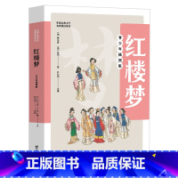 红楼梦 [正版]博集天卷 红楼梦 青少年插图版 四大名著中国古典文学名著悦读系列
