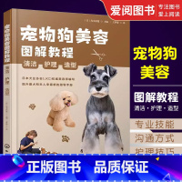 宠物狗美容 [正版]宠物狗美容图解教程 提升爱犬和主人幸福感的指导手册宠物店参考书籍