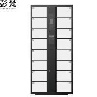 彭梵存包智能储物柜850*460*1800mm(16门)台