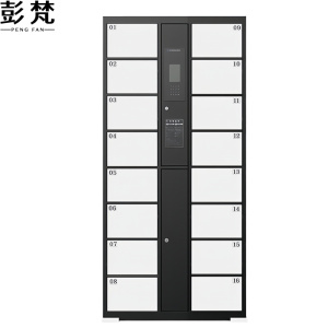 彭梵存包智能储物柜850*460*1800mm(16门)台