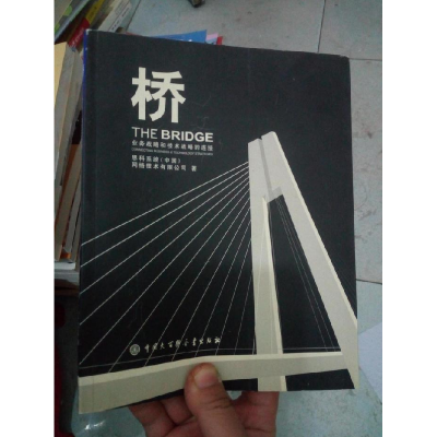 正版新书]桥--业务战略和技术战略的连接思科系统(中国)网络技术